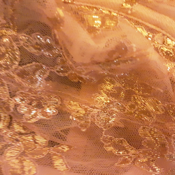 NWOT V.S. 34DDD BEADED PINK AND GOLD CORSET BRA - Picture 3 of 6